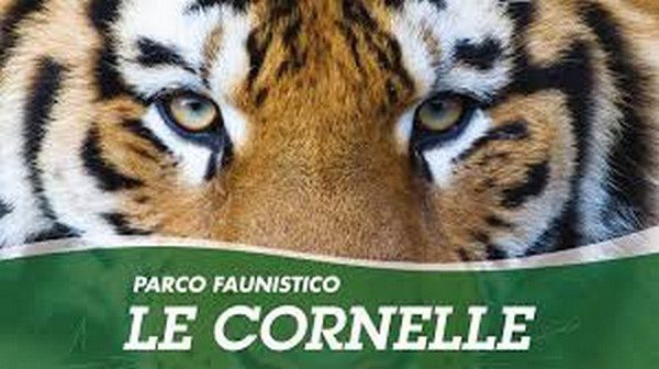 I DE ROCCHI ACQUISTANO LE CORNELLE DI BERGAMO