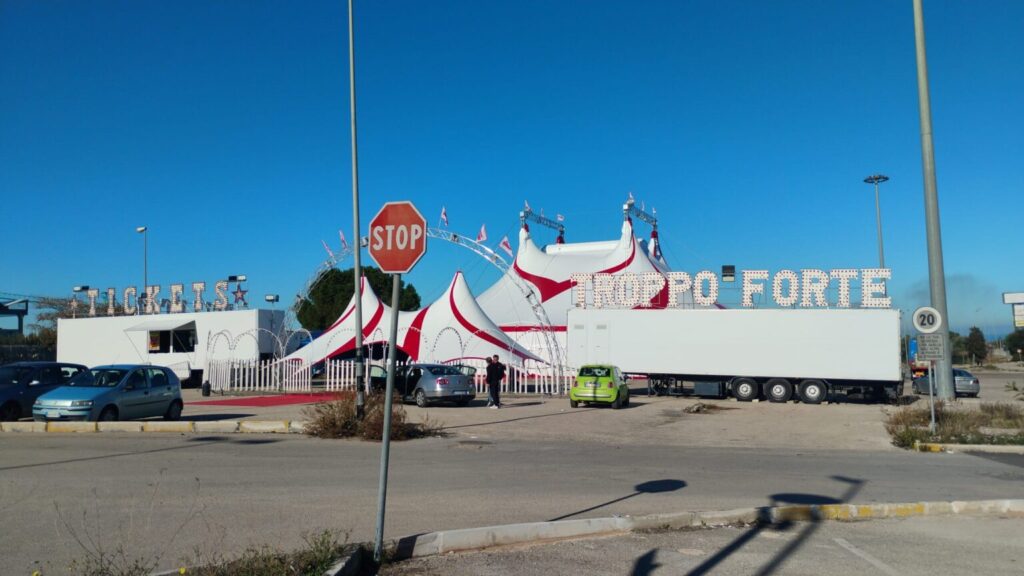 CIRCO BELLUCCI PIU' IVAN ORFEI NEWS 11-02-26