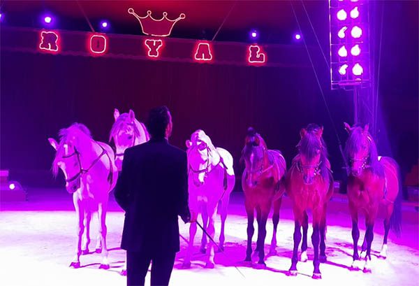 IMPERIAL ROYAL CIRCUS: Il Programma 2024/2025 di Bari