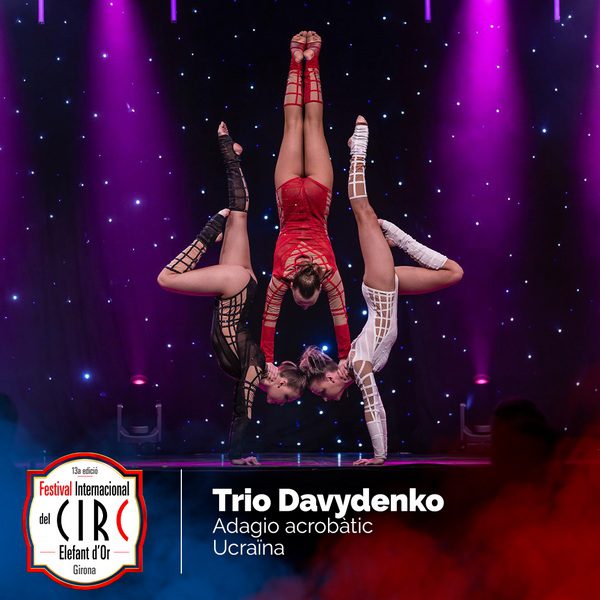 13° FESTIVAL INTERNACIONAL DEL CIRC ELEFANT D'OR: Gli Artisti