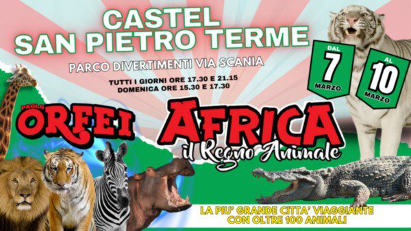 CIRCO PAOLO ORFEI AFRICA IL REGNO ANIMALE news 06-02-25