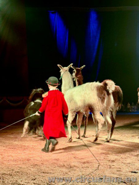 CIRCO ALEX MEDINI: PROGRAMMA E FOTO DELLO SHOW