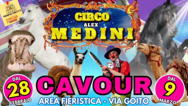 CIRCO ALEX MEDINI: PROGRAMMA E FOTO DELLO SHOW