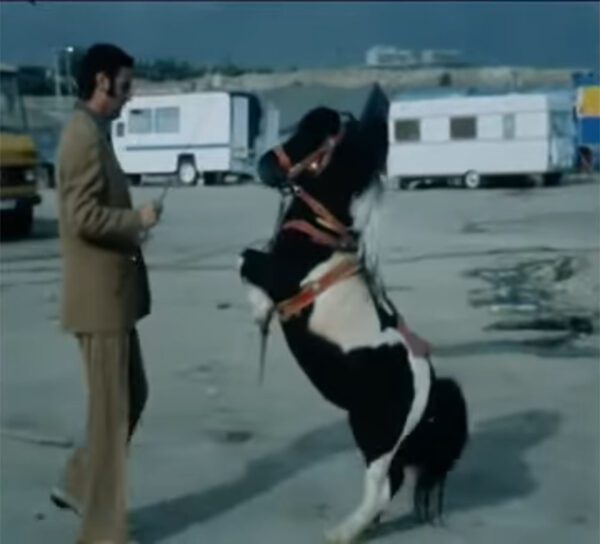 IL CIRCO MOIRA ORFEI BLOCCATO IN IRAN (1978): Il Video
