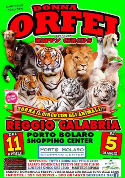 IL RITORNO DEL CIRCO DONNA ORFEI .....