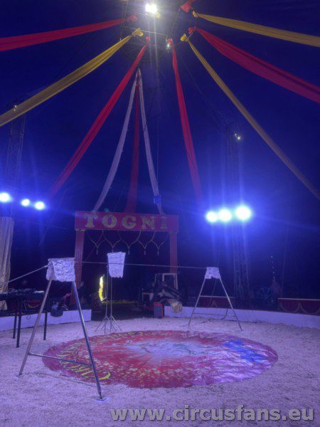 CIRCO CESARE TOGNI: IL PROGRAMMA ATTUALE