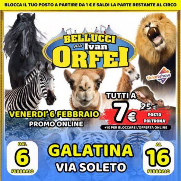 CIRCO BELLUCCI PIU' IVAN ORFEI NEWS 11-02-26