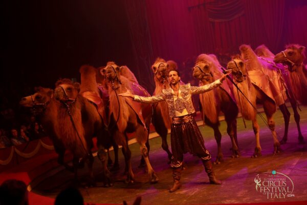 27° CIRCUS FESTIVAL OF ITALY LATINA 2026: il palmares completo