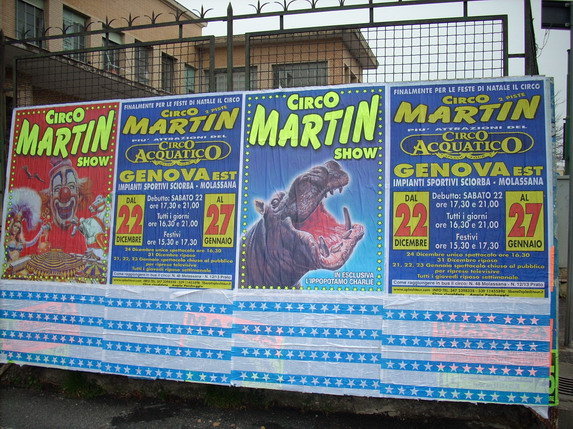 CIRCO MARTIN SHOW + CIRCO ACQUATICO SPLASH: a Genova