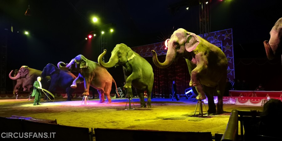 BENTORNATI AI MAGNIFICI 7 DEL CIRCO AMERICANO