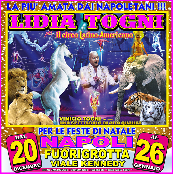 https://www.circusfans.eu/wp-content/uploads/backup/images_lidiatogni2013napoli00.jpg