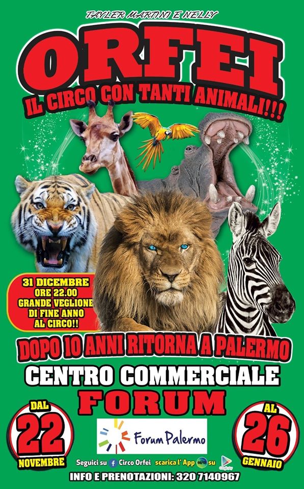 Stampa: Palermo: al Circo Nelly Orfei lo spettacolo acquatico di ologrammi