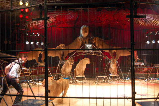 MARTIN LACEY AL CIRCO MEDRANO